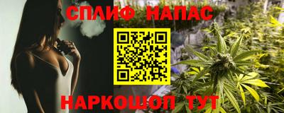 spice Севастополь