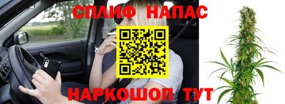 apvp Свободный