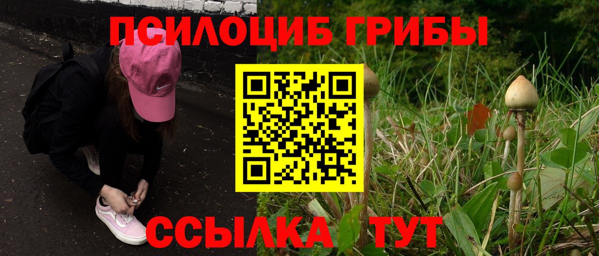 Новый Уренгой  Галлюциногенные грибы Psilocybe  Вход с VPN  как найти наркотики  Псилоцибиновые грибы Cubensis 